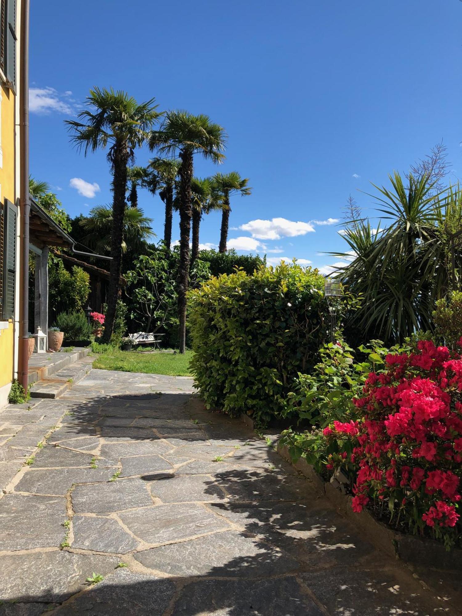 بريساغو Casa Concerto B&B المظهر الخارجي الصورة