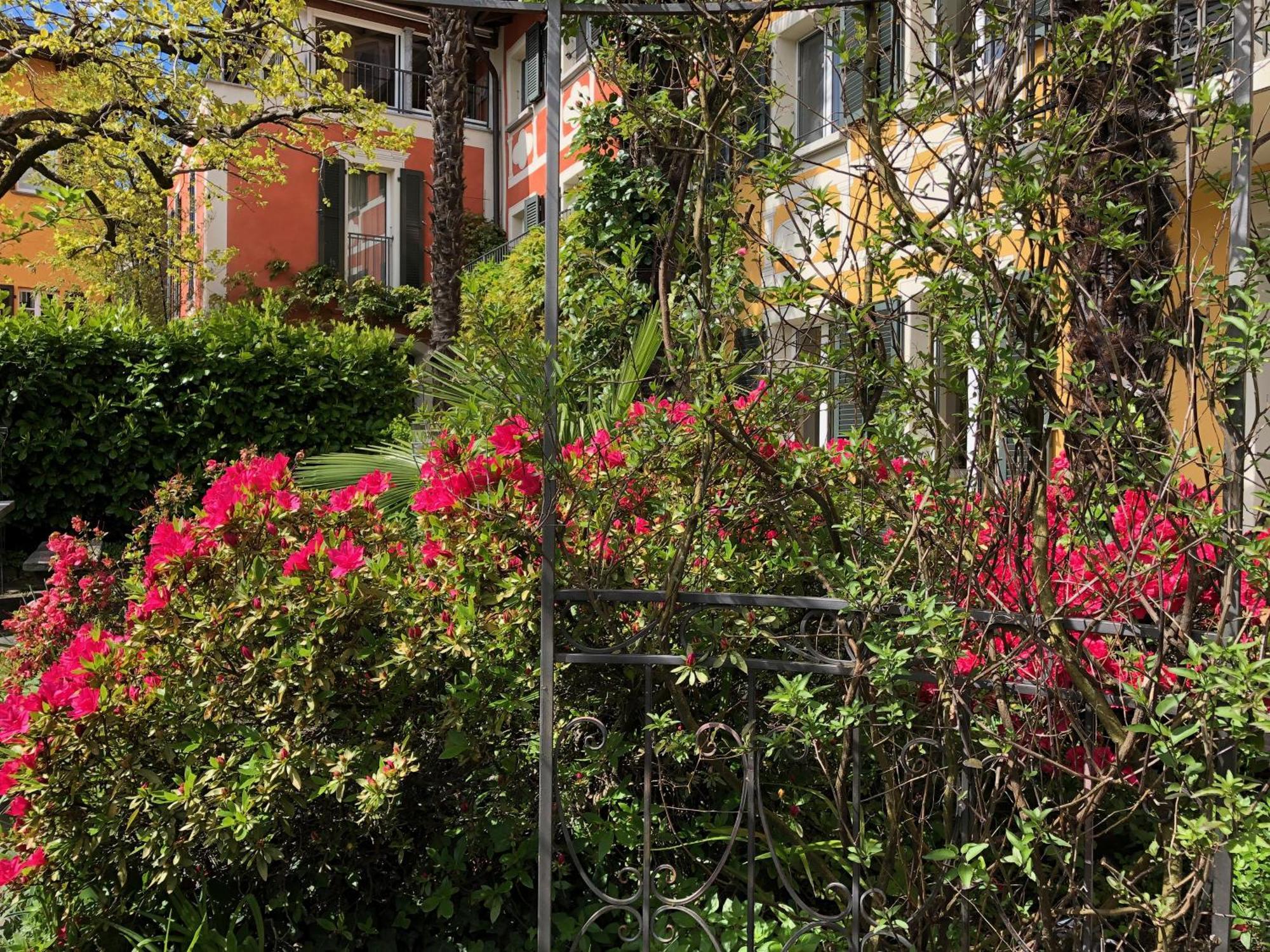 بريساغو Casa Concerto B&B المظهر الخارجي الصورة